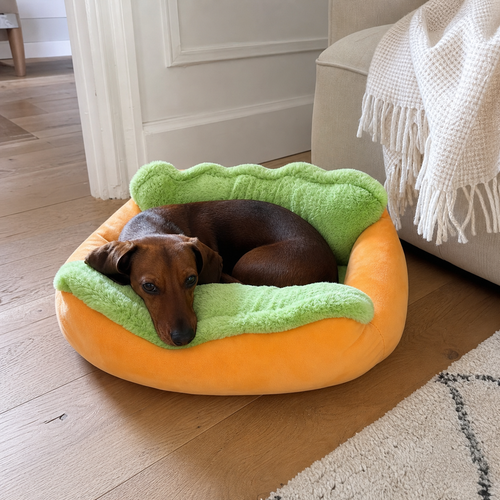 Teckel couche dans le panier hot-dog Sossiss taille S